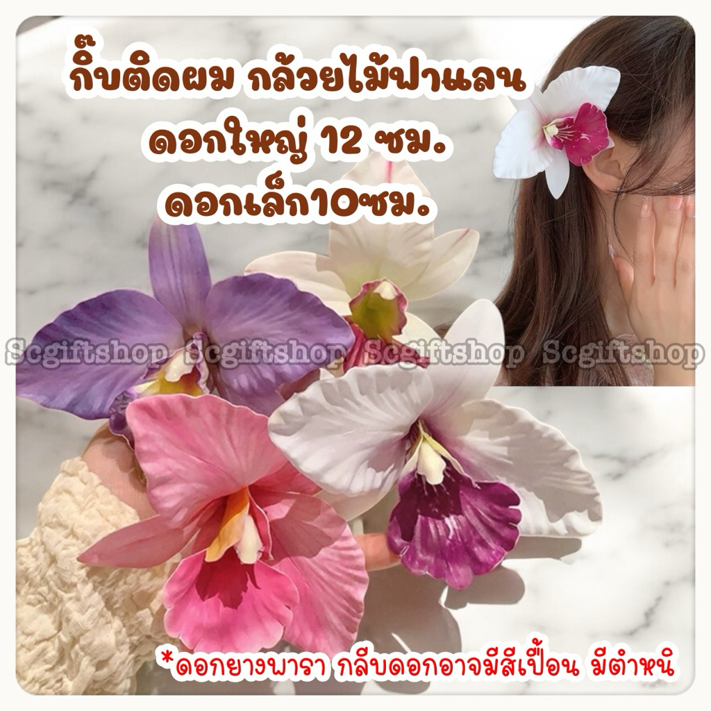 (พร้อมส่ง) NEW! งานไทย กิ๊บติดผมดอกกล้วยไม้ บิ๊กฟาแลน ดอกไม้ประดับผม ขนาด10,12ซม. ราคา:1ชิ้น