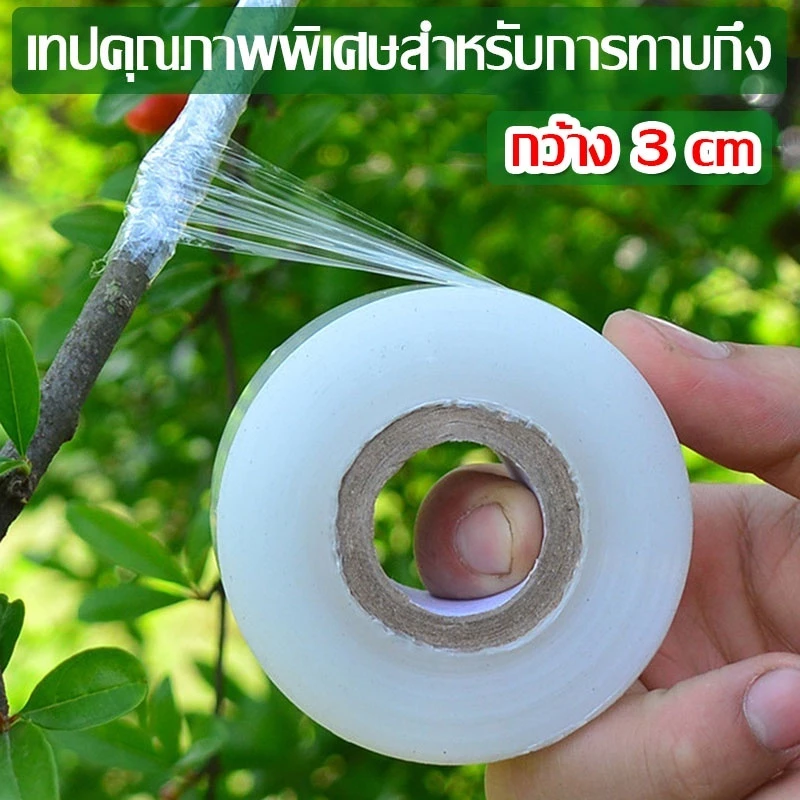 3cmx200m เทปพันกิ่งไม้ อุปกรณ์ทำสวน เทปพันตอนกิ่ง อุปกรณ์การเกษตร เทปพันกิ่งทาบ พลาสติกทาบกิ่ง เทปติดตาต้นไม้ฟิล์มยืด