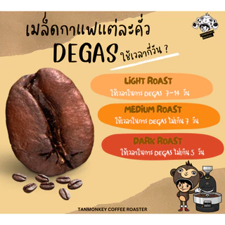 Tanmonkey Coffee เมล็ดกาแฟคั่ว Brazil Santos Coffee