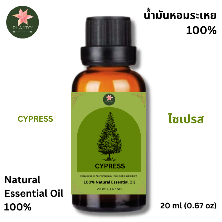 Cypress Essential Oil - น้ำมันไซปรัสหอมระเหยแท้ 100%