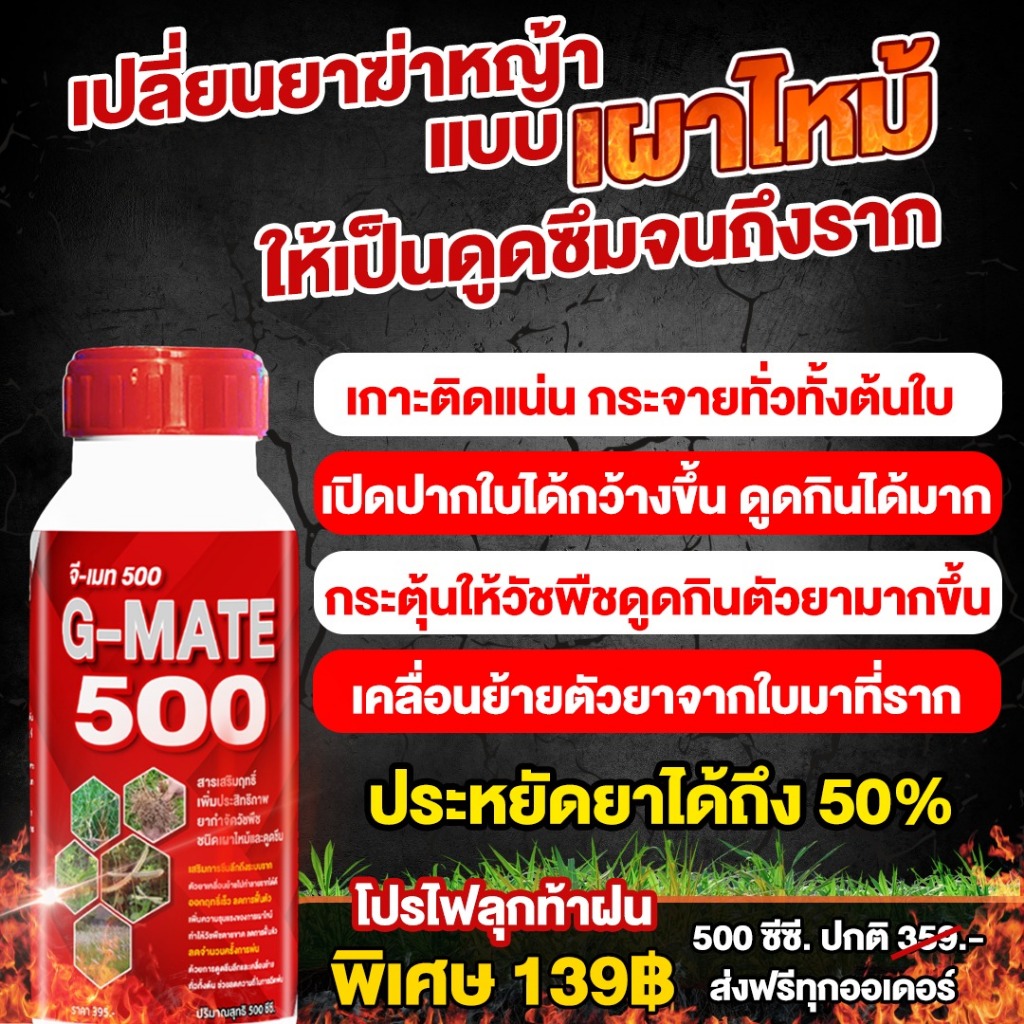 G-mate500 เสริมฤทธิ์ยาเผาไหม้ ดูดซมถึงราก ใช้ผสมยากำ-จัดวัชพืช ขนาด500ml (ต้องผสมยากำจัดวัชพืชนะคะ)
