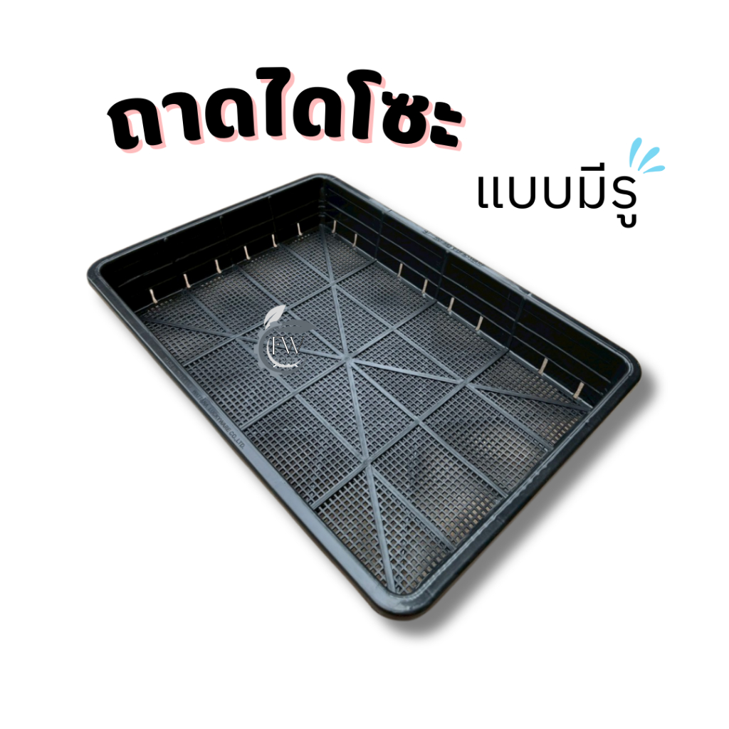 ถาดไดโซะ ถาดเพาะเมล็ด ตะแกรงปลูกผัก ถาดปลูกผักไฮโดรโปนิกส์ (*เหนียว ไม่แตกง่าย ใส่กล่องโฟมได้พอดี*)
