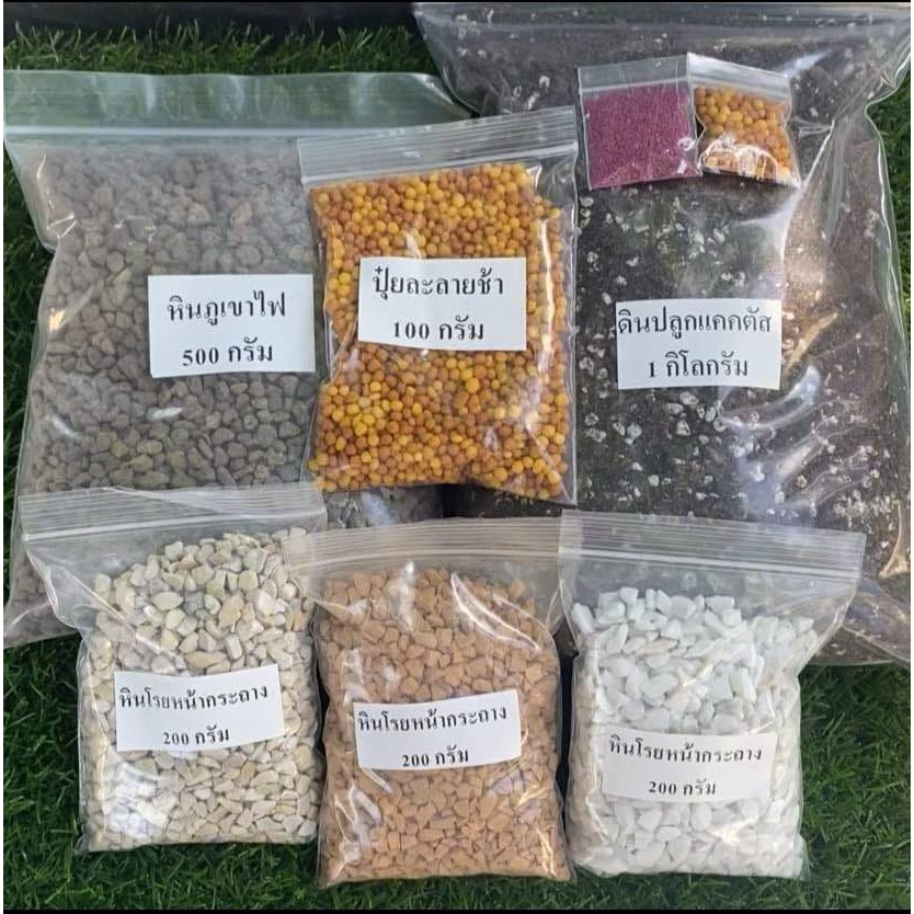 ชุดปลูกพร้อมปลูก พร้อมใช้ ดินโปร่ง ร่วนซุย ใช้กับ ไม้ด่างไม้ฟอกอากาศ ไม้ประดับไม้มงคลทั่วไป แคดตัส ฯลฯ