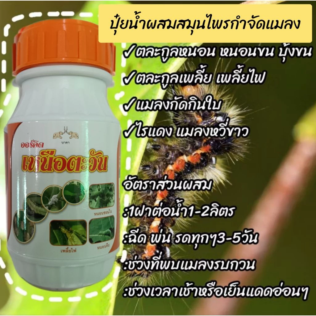 สมุนไพรกำจัดแมลง ออร์คิดโกลด์เด้นสีส้ม ไล่แมลง กำจัดศัตรูพืชแบบปลอดภัยต่อคน สมุนไพรจากสะเดา ใบยาสูบ สาปเสือ