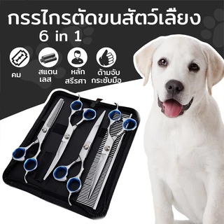 🐶 6/9 ชิ้น กรรไกรตัดขนสุนัข แบตตาเลี่ยนตัดขนส กรรไกรตัดขนแมว ตัดขนหมา ตัดขนสุนัข ตัดขนแมว กรรไกร สุนัข กรรไกรแมว