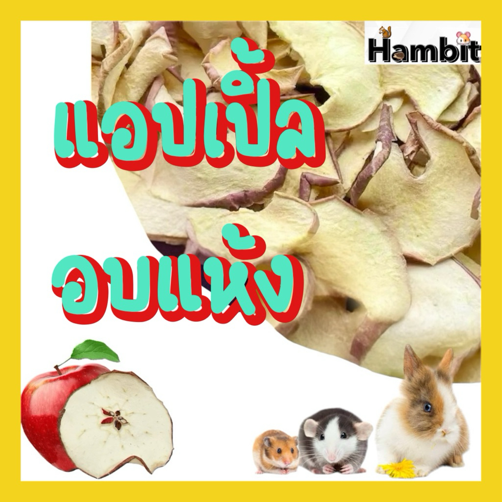 🍎 แอปเปิ้ลสไลด์อบแห้ง สำหรับสัตว์ฟันแทะ 🐹🐰 ขนาด 20 กรัม | ราคาเพียง 20 บาทเท่านั้น! 💸