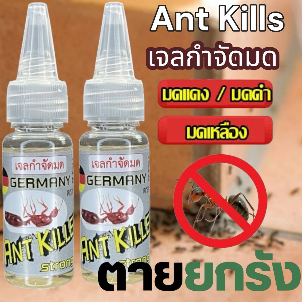 1แถม1 เจลกำจัดมด ตรา Ant Killer 25กรัม เหยื่อเจลกำจัดยกรัง  #ANT BAITเหยื่อมด
