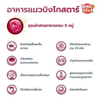 Bingo Star Adult Cat Food อาหารแมวโต บิงโกสตาร์ ชนิดเม็ด 1kg เสริมภูมิต้านทาน โปรตีนสูง สำหรับแมว 1 ปีขึ้นไปทุกสายพันธุ์
