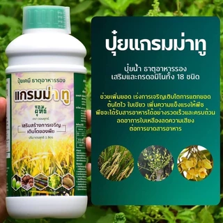 แกรมม่าทู Gramma 2 ปุ๋ยน้ำ 1 ลิตร ครบทุกธาตุอาหาร ของแท้จากบริษัท ส่งทุกวัน