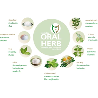 Oral Herb ยาสีฟันสมุนไพรออรัลเฮิร์บ 100 กรัม แพ็ค 2​ หลอด ลดกลิ่นปาก ลดเสียวฟัน ป้องกันฟันผุ