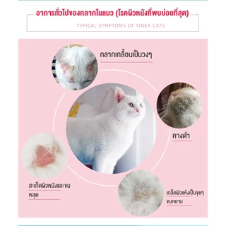 yugogo🐾สเปรย์ผิวหนังสุนัขแมว สเปรย์นาโน แผลแห้งไว Nano Spray สุนัข แมว 100ml