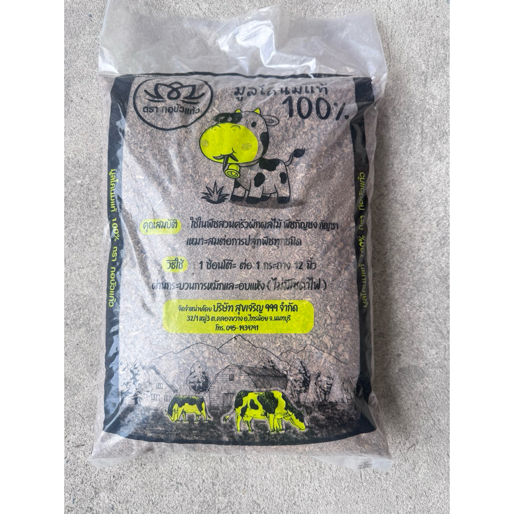 มุมมอง 2