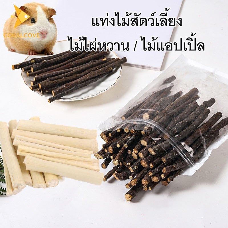 coralcoveshop แท่งไม้สัตว์เลี้ยง ไผ่หวาน ไม้แอปเปิ้ล ขนมบดฟันสัตว์เลี้ยง ชินชิลล่า แฮมสเตอร์ กระต่าย