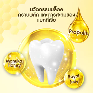 [NEW] SPARKLE ยาสีฟัน ออร์แกนิค สูตร Natural Propolis 100 G. (10SK00206)