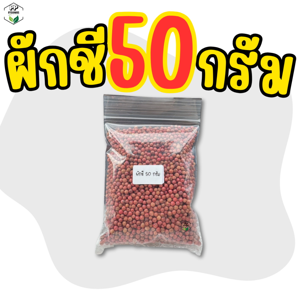 เมล็ดผักชี ผักชี 50 กรัม งอกง่าย ลำต้นใหญ่ ผักชีน้ำหนักดี