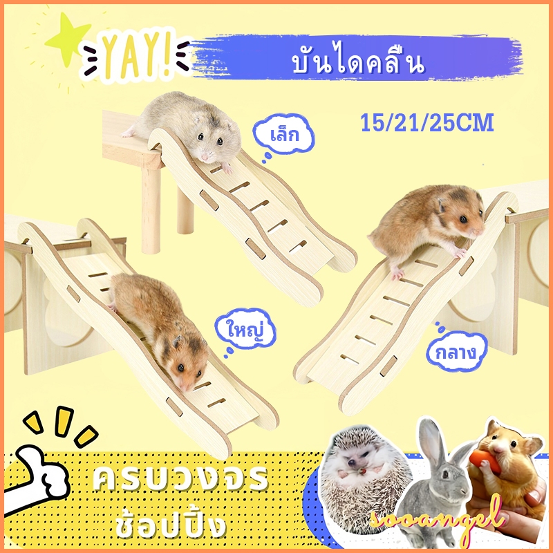 [HAMSTER TRAVEL] แฮมสเตอร์บันไดไม้หลีกเลี่ยงอุโมงค์ปีนไม้ของเล่นเบิร์ชสะพานโค้งหลุมต้นไม้ชั้นหมวก TZ