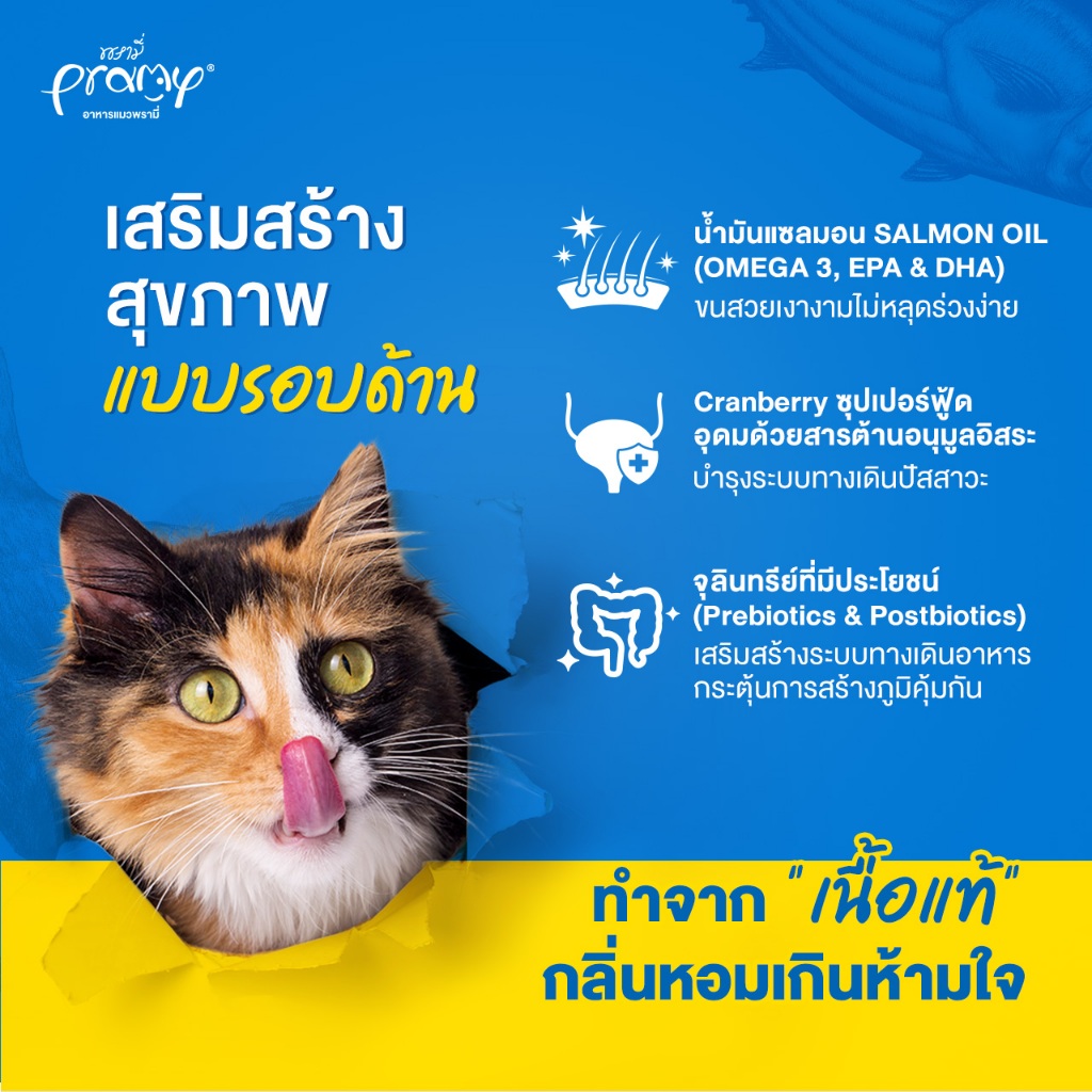 รูปภาพ 4