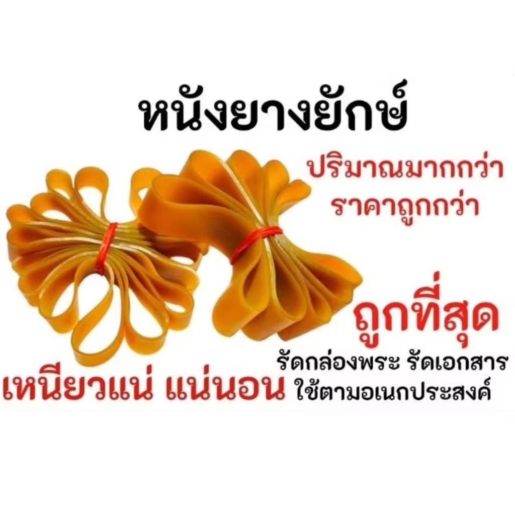 หนังยางวงใหญ่ หนังยางรัดกล่องพระ (เหนียวแน่นอย่างดี)