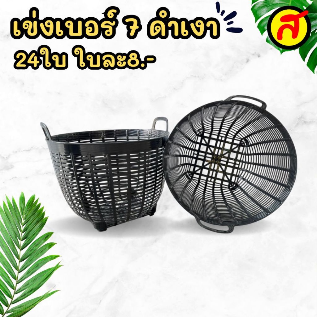 รูปภาพ 5