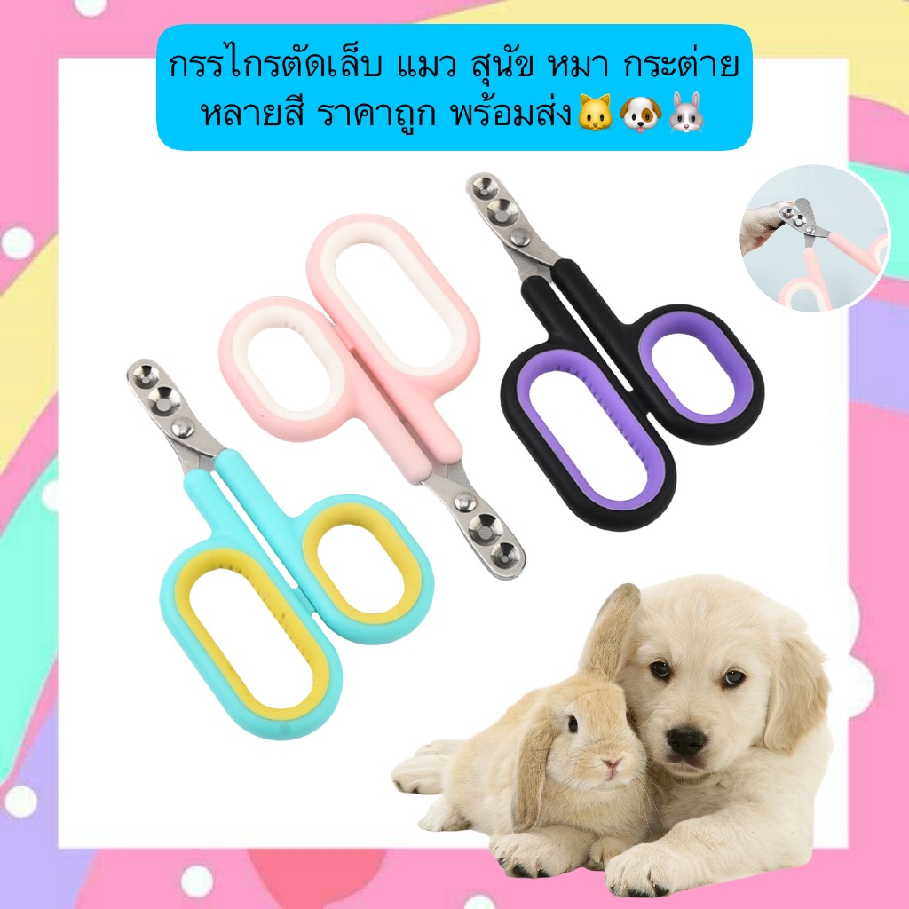 PP-667 กรรไกรตัดเล็บสำหรับสัตว์เลี้ยง แมว สุนัข หมา กระต่าย หลายสีสัน ราคาประหยัด พร้อมจัดส่งทันที 🐱🐶🐰