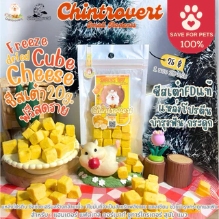 Chintrovert ✨| Mini 3 Cheese 3 ชีสจิ๋ว 🧀| แฮมเตอร์ แฟตเทล ดอร์เมาท์ ชูการ์ไกร์เดอร์ สุนัข แมว
