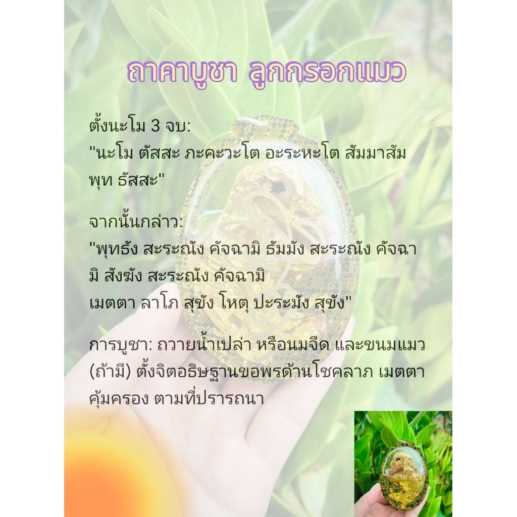 ลูกกรอกแมว: ของแท้หายาก พารวย พาดัง รวยไม่จน ราคาต่อชิ้น รูปที่ 3