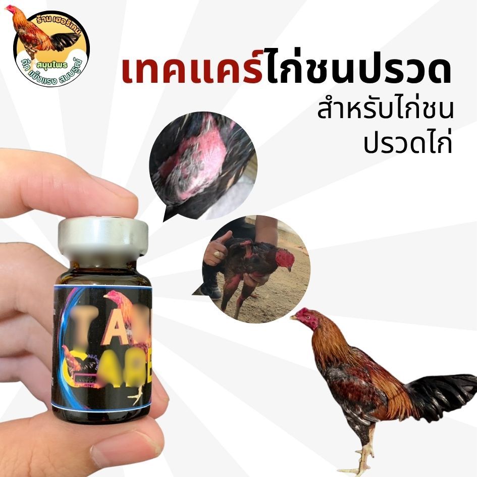 เฮอริเคนไก่ชน ไก่เป็นปรวด เทคแคร์น้ำ