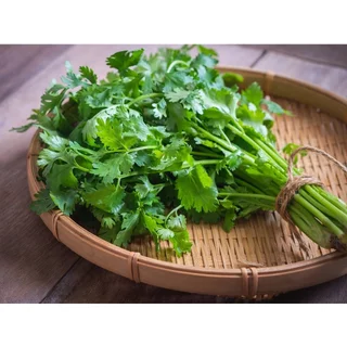 เมล็ดพันธุ์ผักชีหอม ผักชีไทย 4-10 กรัม ปลูกง่าย โตไวดูแลไม่ยุ่งยาก [10 แถม 1 คละได้]