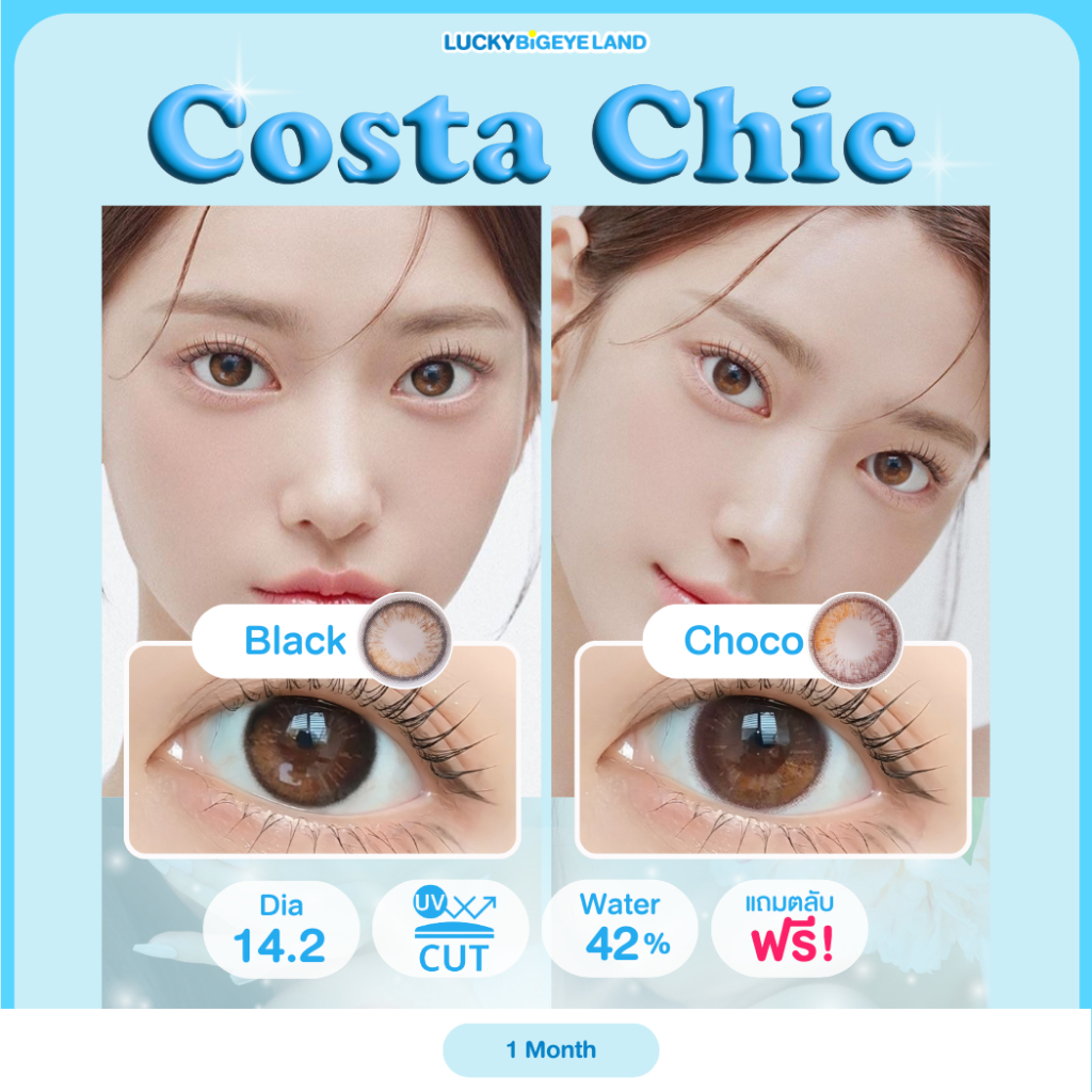 คอนแทคเลนส์ Costa Chic Black / Choco (Luxzy) ขนาดมินิ 🦋 รุ่นใหม่ 4 สีในเลนส์เดียว หวานละมุนสุดๆ