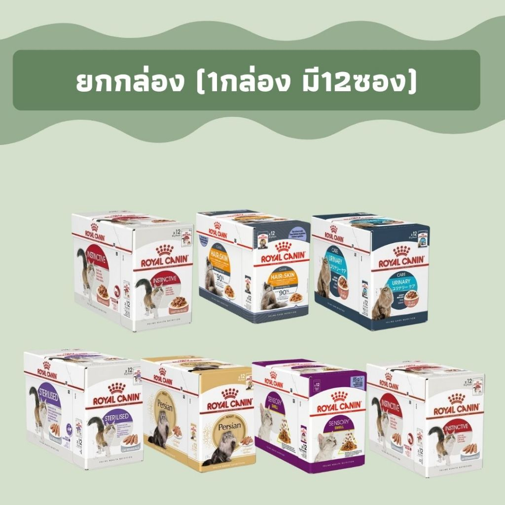[ยกกล่อง12ซอง]RoyalCanin Pouch Jelly Gravy อาหารเปียกแมว