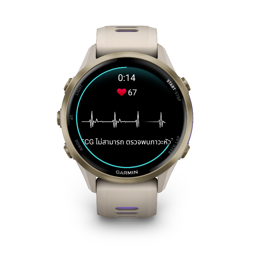 รูปภาพ 7