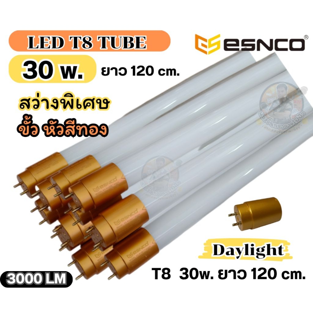 หลอดนีออน LED ยาว 30 W. สว่างพิเศษ รุ่น Gold Serie (ขั้วทอง) หลอดเปล่า ยาว 120 cm.