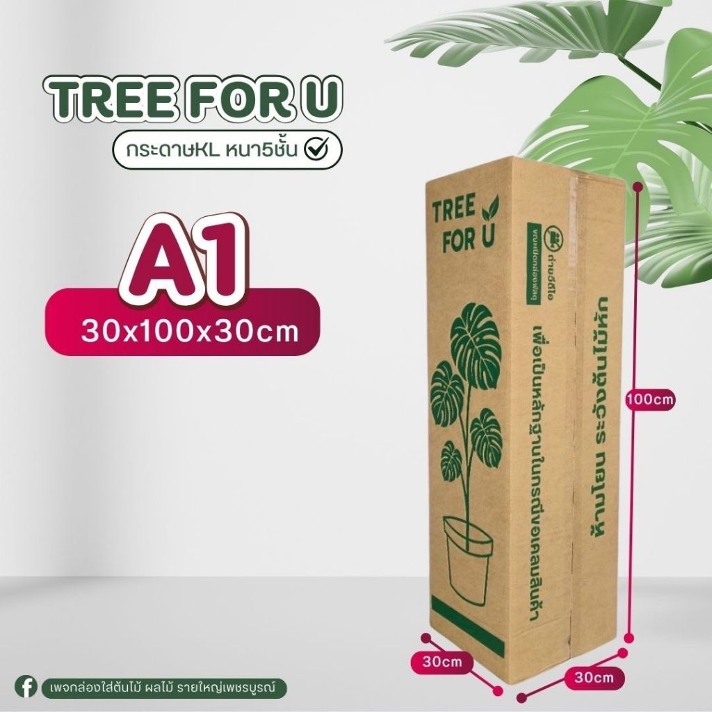 กล่องใส่ต้นไม้เบอร์ A1 (KL)ไม่เจาะรู ขนาด 30×100×30 เซนติเมตร แพ็คละ 10 ใบหนา5ชั้น กระดาษ KL