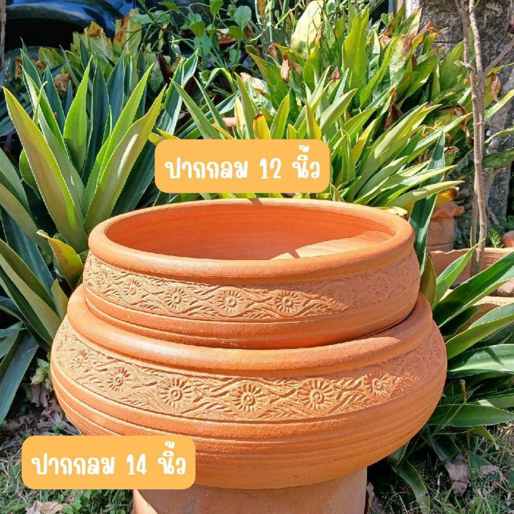 อ่างดินเผา อ่างเลี้ยงปลา อ่างแมวนอนขนาด 10-14 นิ้ว