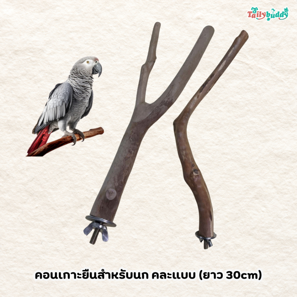 ขอนไม้ คอนเกาะยืน แบบยึดติดกรง สำหรับนก ทำจากไม้ธรรมชาติ