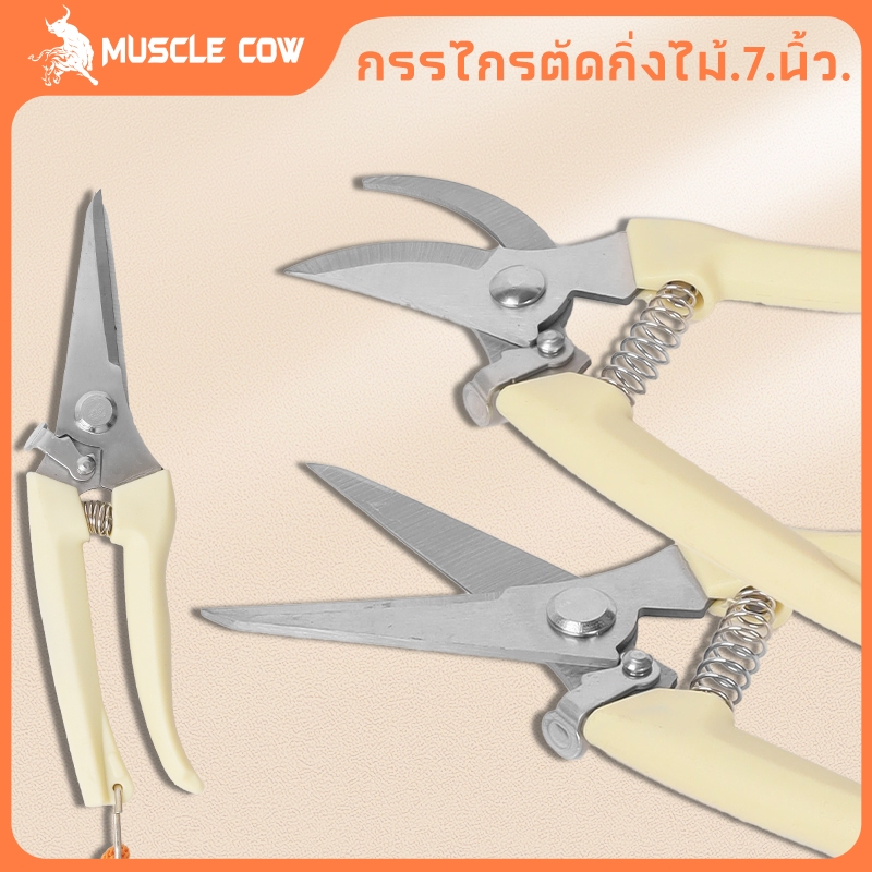 MUSCLE COW กรรไกรตัดโลหะ สแตนเลส ตัดซีลาย ตัดสังกะสี ตัดแผ่นมิเนียม กรรไกรตัดกิ่