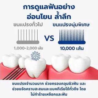 แปรงสีฟันสำหรับสัตว์เลี้ยง แปรงหัวขนาดกลาง ทำความสะอาดฟันสุนัข 1 ชิ้น