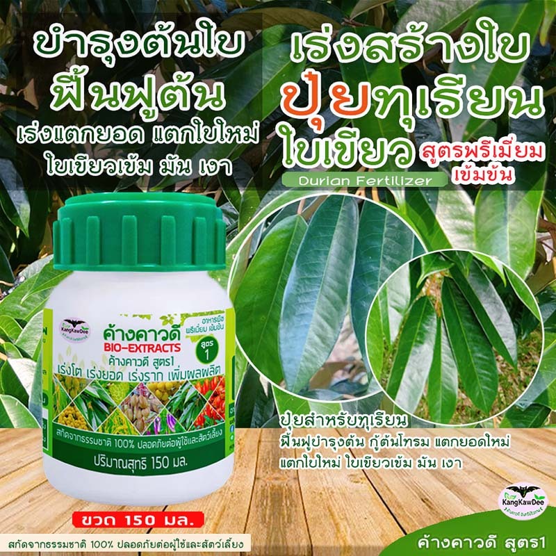ปุ๋ยทุเรียน เร่งสร้างใบ ทำใบ ใบเขียวเข้ม ค้างคาวดีสูตร1(150มล)ของแท้ ฟื้นต้นโทรม เร่งแตกยอด F1-150ML