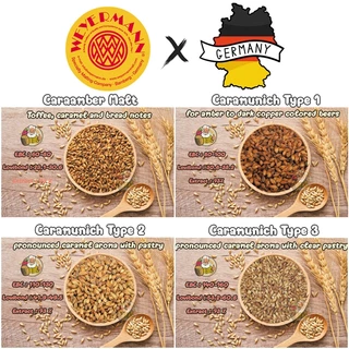 มอลต์ Pilsner, Wheat, Pale Ale, Vienna, MUNICH MALT TYPE 1, CARAPILS, CARAHELL, CARAWHEAT Rye and ACIDULATED Weyermann®