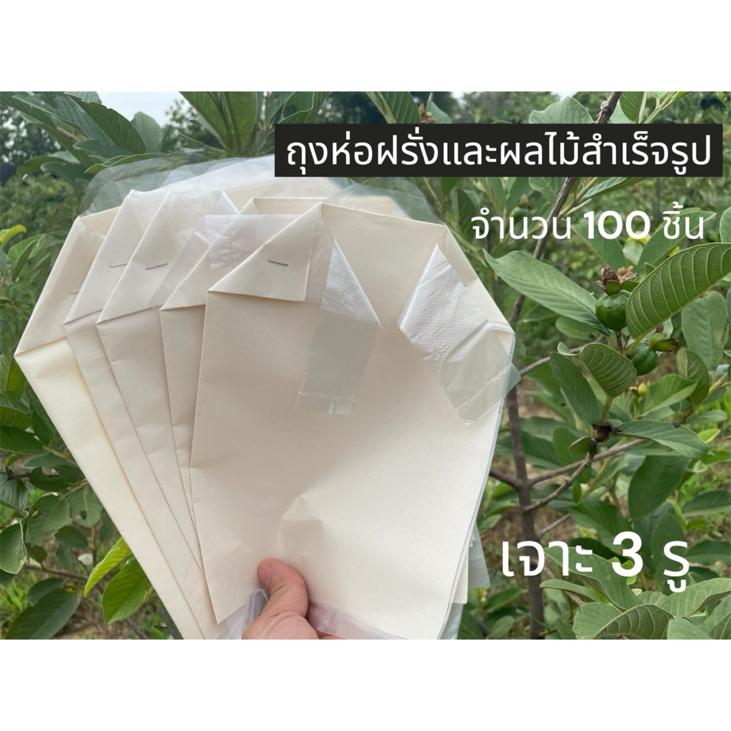 ถุงห่อฝรั่งและผลไม้แบบสำเร็จรูป ขนาด6x12นิ้ว) ใช้ได้ทั้งมัดและแม็ค (แบบถุงพลาสติกใส+กระดาษปรู๊ฟ)