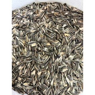 เมล็ด ทานตะวัน นกแก้ว ทานตะวัน A ป้อม เกรดดี ฝุ่นน้อย 5 กิโล…