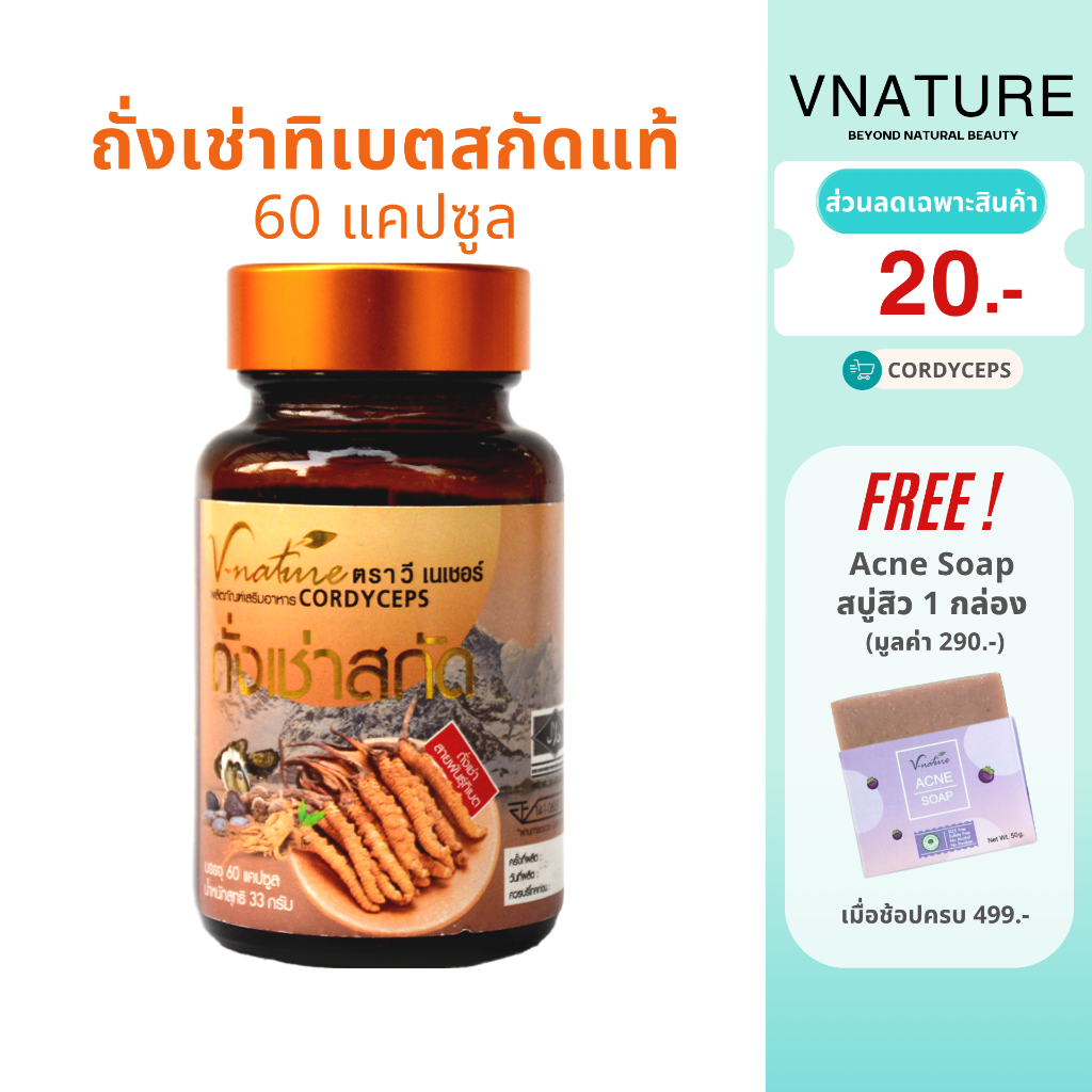 ถั่งเช่าทิเบตสกัด VNATURE Cordyceps 60 แคปซูล