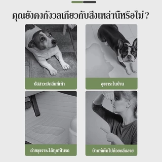 แผ่นรองฉี่สุนัข ชาร์โคล ซึมซับไดีดี ต่อต้านแบคทีเรีย แผ่นรองฉี่ แผ่นรองฉี่แมว แผ่นรองปัสสาวะหนา 6 ชั้น ช่วยฝึกขับถ่าย