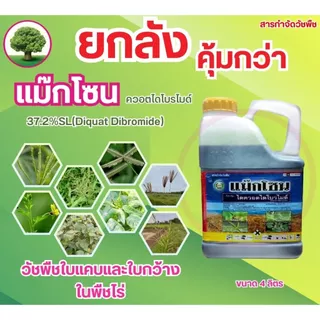 แม็กโซน ตราหวีทอง ขนาด 4 ลิตร ไดควอต ไดโบรไมด์ ยกลัง 6 แกลลอน