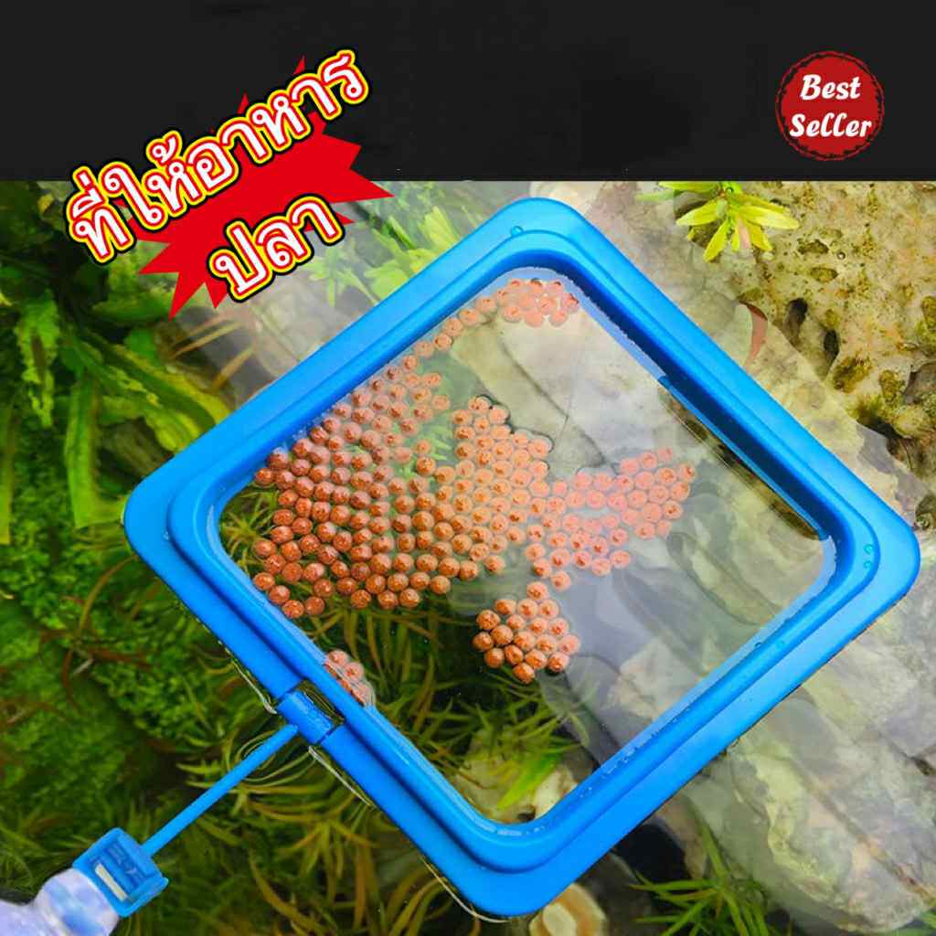 ที่ให้อาหารปลา ขนาด10cm ที่กักอาหารปลา วงอาหารปลา สำหรับตู้ปลา ทนทาน แข็งแรง ส่งไว จากไทย

<p>“><center></p>
<h4></h4>
<p><p><font color=