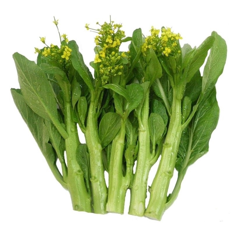 เมล็ดพันธุ์กวางตุ้งดอก 400-1000 เมล็ด โตไว ใบเขียว ดอกเหลืองสด (ซื้อ 10 แถม 1 )