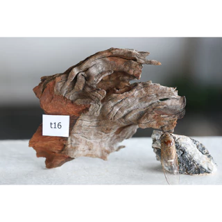 ตอไม้ Driftwood ( คัดเกรด ) set t
