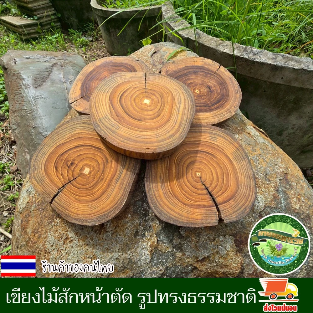 ไม้สักหน้าตัด กลม รูปทรงธรรมชาติ อาจมีรอยแตกตามธรรมชาติแต่ไม่แยกจากกัน เขียงไม้ เขียง ไม้สักแท้ คละไชส์ 13-16ชม.หนา2ซม.