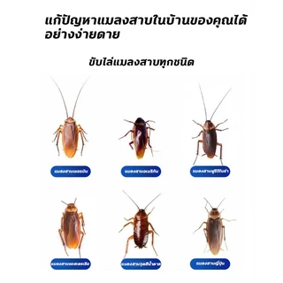 ✅วางไว้1ก้อน ได้ผลนาน 10ปี✅ไล่แมลงสาบ ยาแมลงสาป ยาแมลงสาบ 15ชิ้น ผลลัพธ์ที่รวดเร็ว สูตรจากพืช เหมาะกับสตรีมีครรภ์และทารก