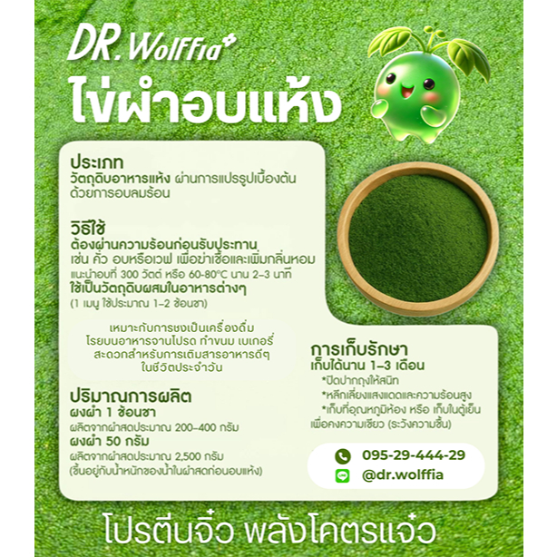 ไข่ผำอบแห้ง100% DR.Wolffia โรงเรือนได้รับมาตรฐาน GMP  ผลิตจากไข่ผำ 100% ผ่านการอบสุก ไม่ผสมสารกันเสีย มีทั้งแบบ บดละเ - รูปที่ 2